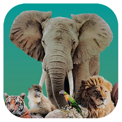 Ark Nova APK: The Ultimate Zoo Management Board Game Experience on Android